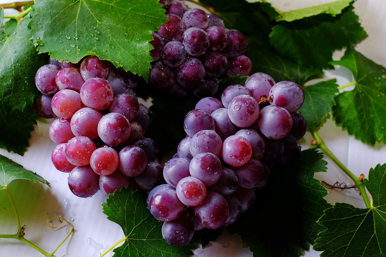 benefici dell'uva - grappolo di uva nera - healthaid magazine